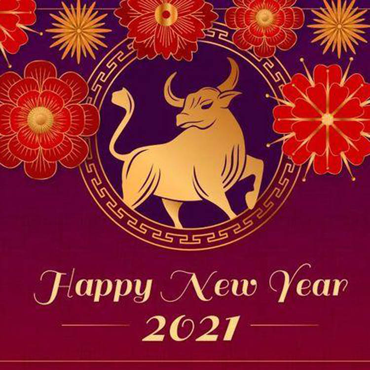 Chinese New Year Holidays Notice (2021)